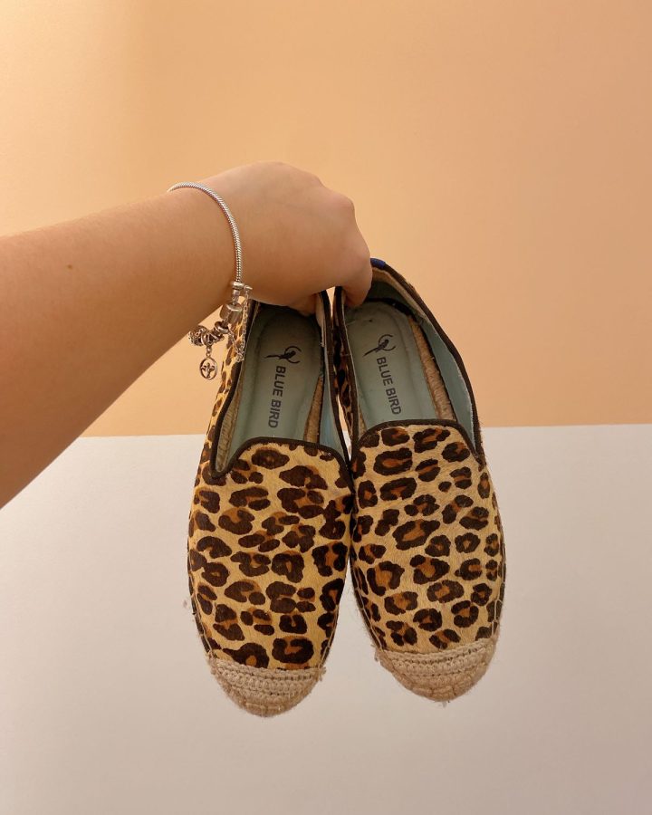 Espadrilhe oncinha Blue Bird 37