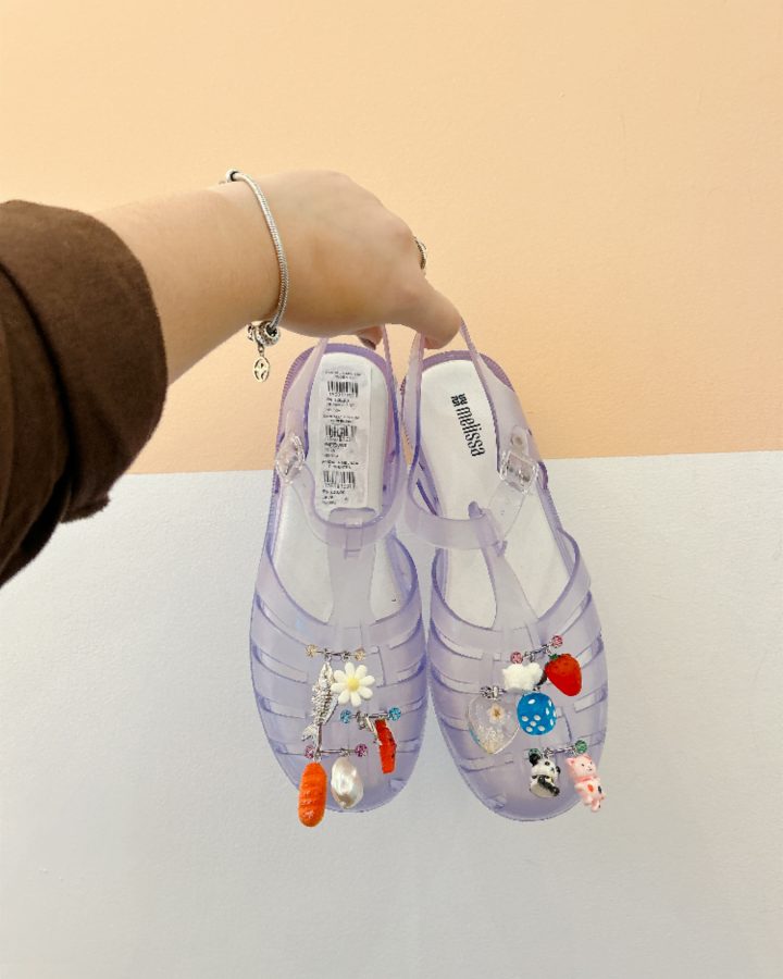 Melissa pingentes transparente 37