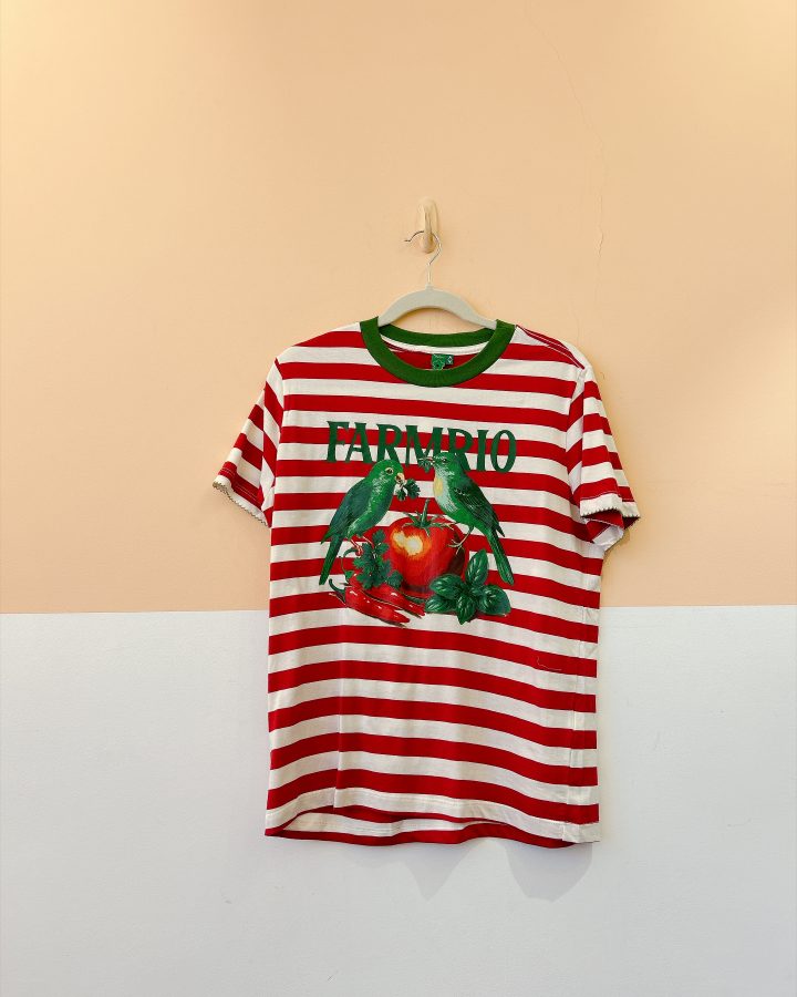 Tshirt listrada tomates Farm P