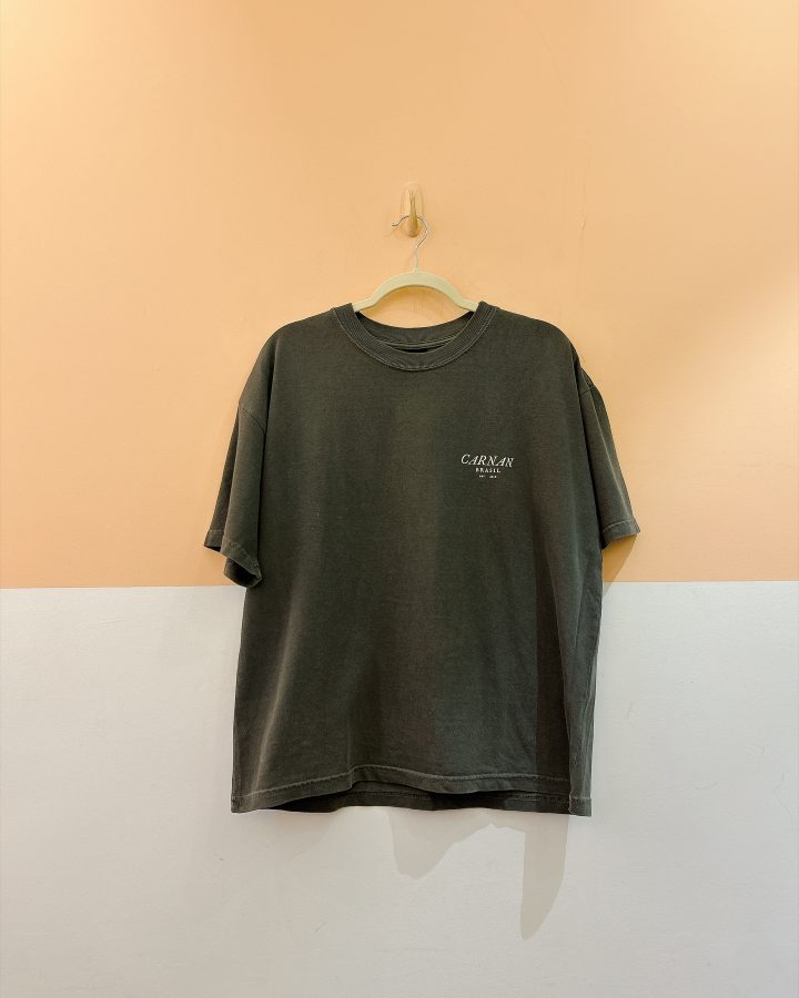 Tshirt cinza Carnan P